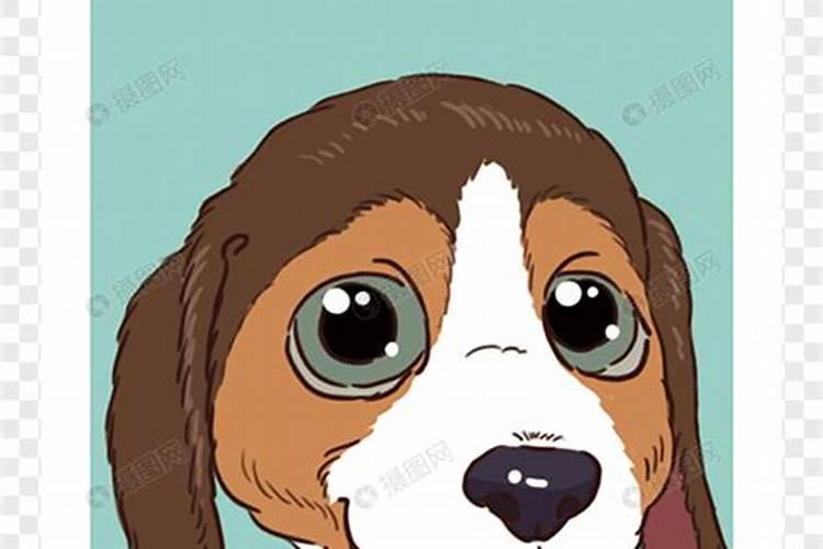 狗年三月十五出生的