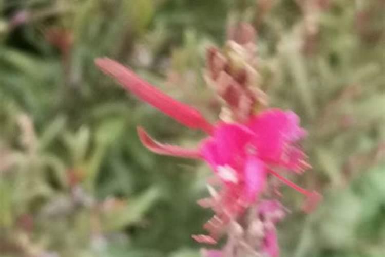 父母不要掺合婚姻太多？