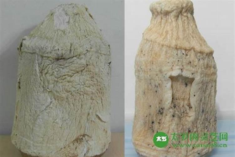 太岁的作用有哪些？