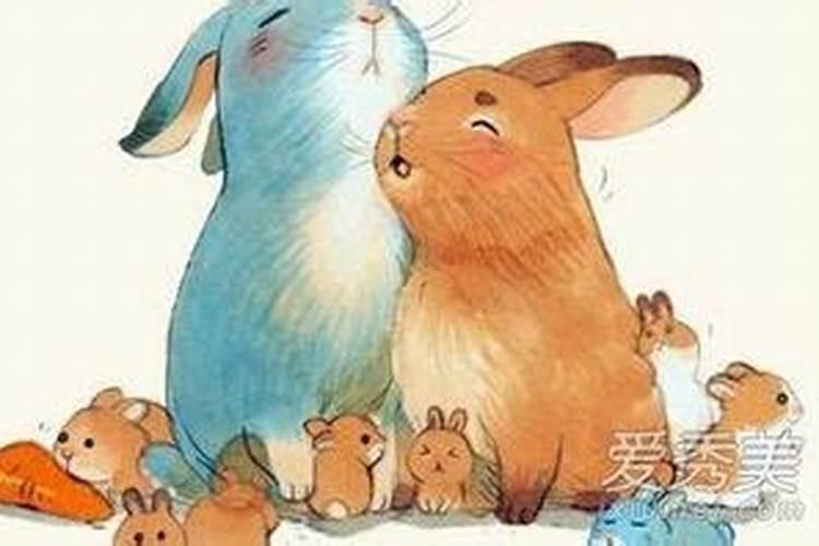 男属虎女属兔合婚吗？