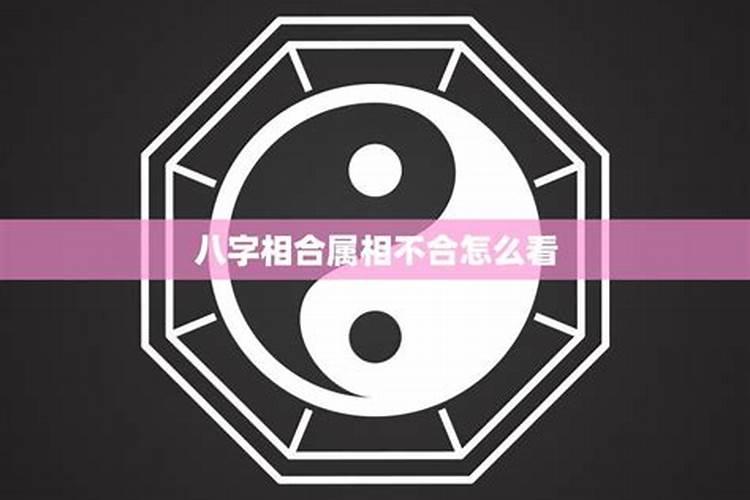 合作伙伴合不合看八字还是属相？