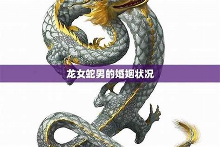 男蛇女龙八字合吗？