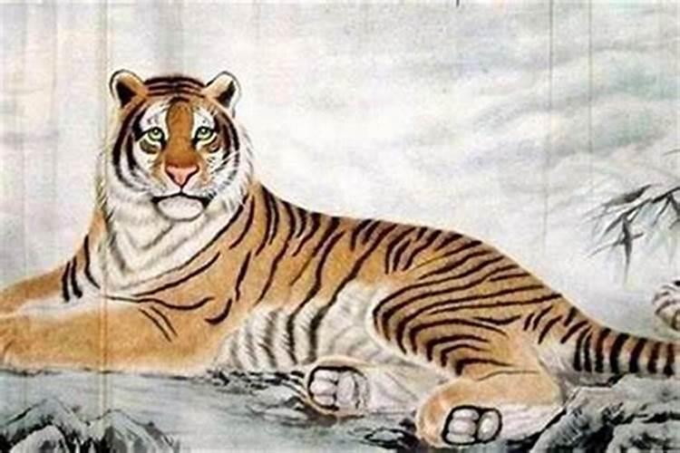 1986年属虎的本命年好不好？