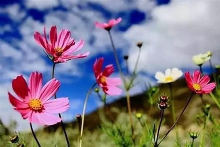 超度婴灵法事的最佳的时间