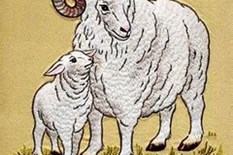 91年出生在2026年运程