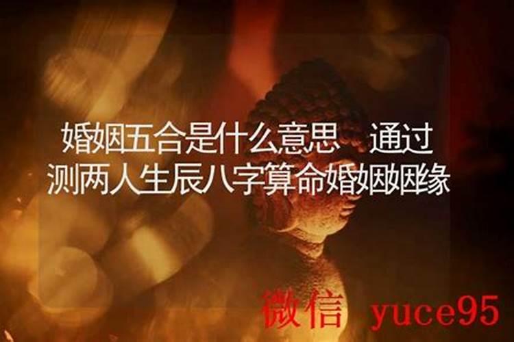 五合婚姻是什么意思？