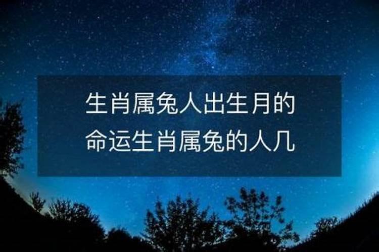 属兔出生月的运势