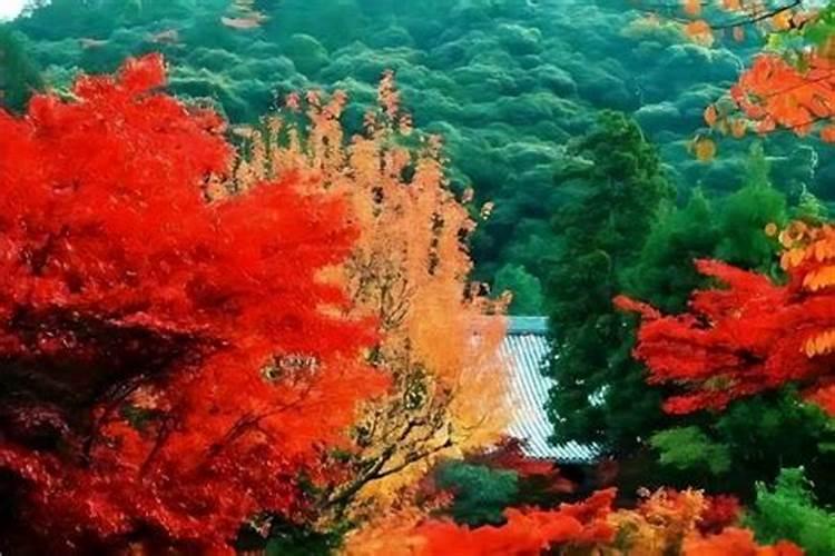 农历十月初一的幸运色