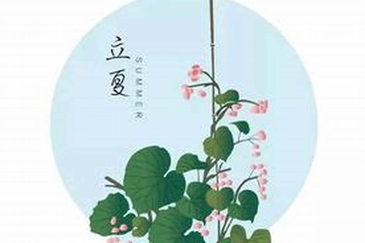 天台立夏的风俗有哪些？