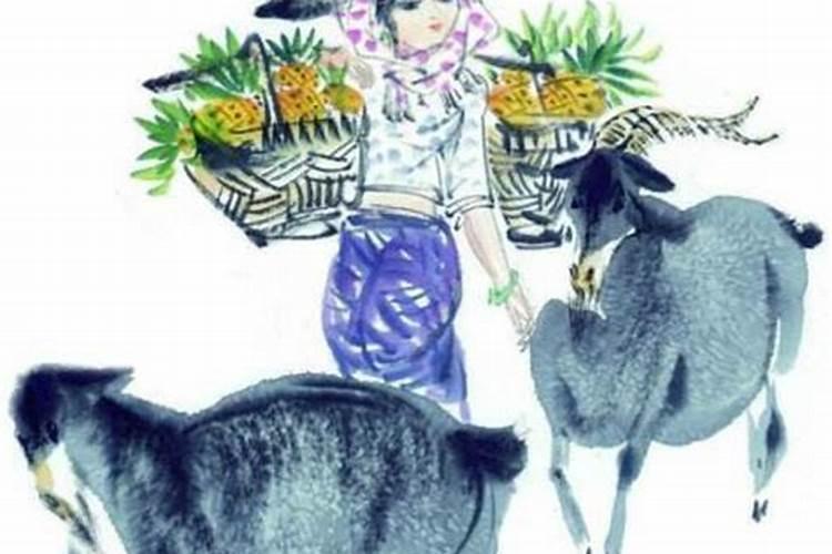 八月出生属羊人运程