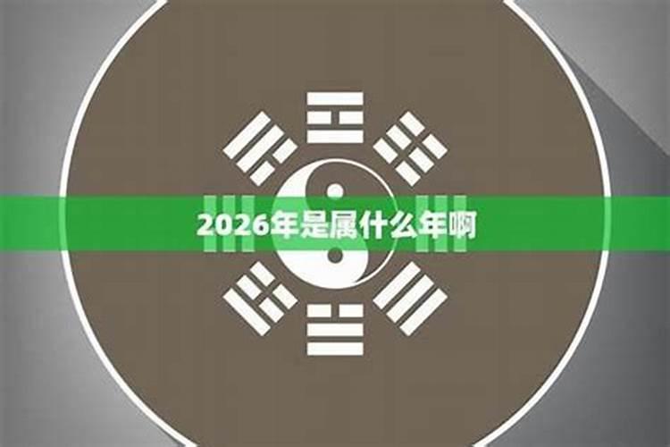 1995年生在2026年运程
