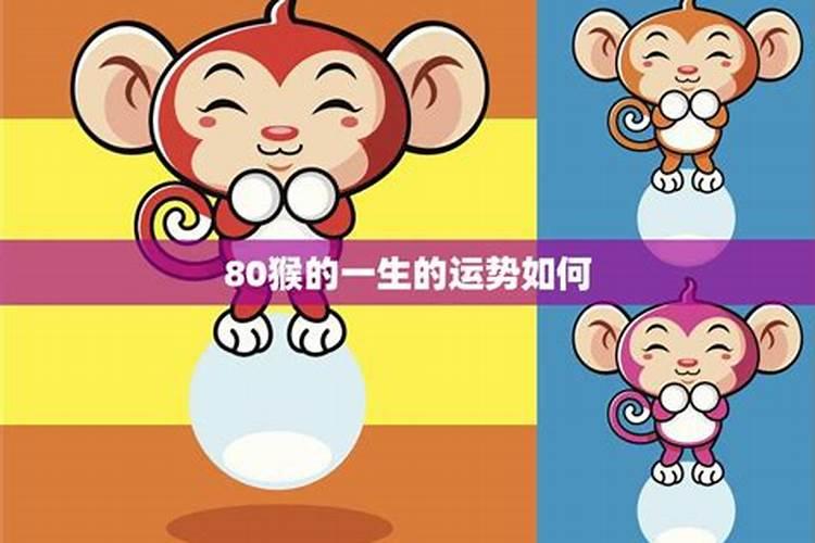 1980的猴一生运势如何？