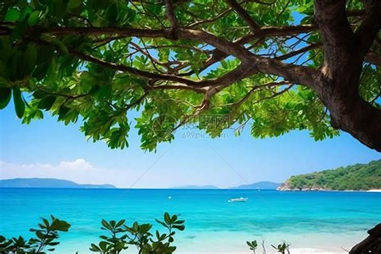 梦见美丽的风景和大海