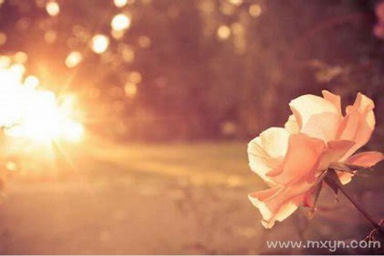 梦见亲人马上去世是什么预兆？