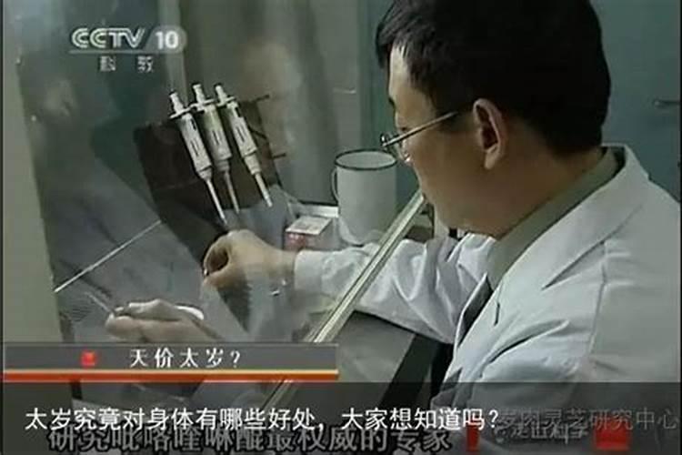 太岁怎么用对身体有好处？