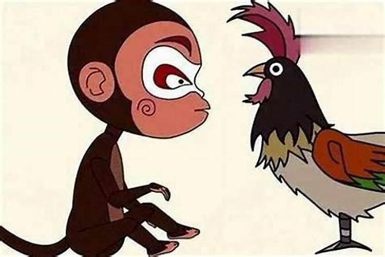 68年猴和69年鸡合婚吗？