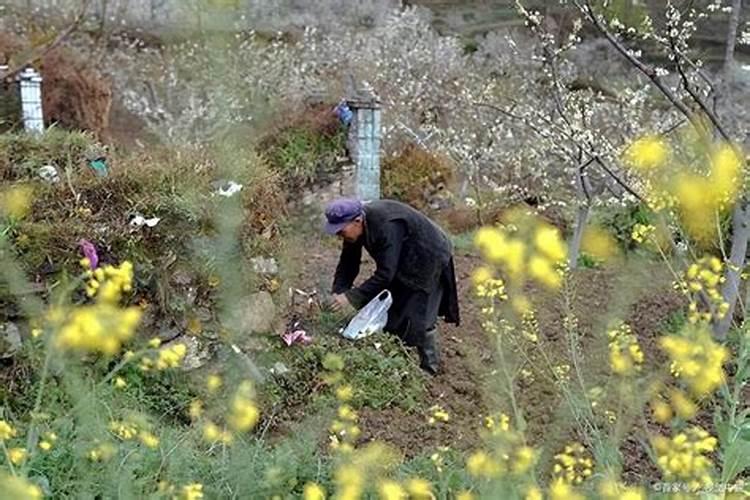 十月初一山东人上坟好不好？