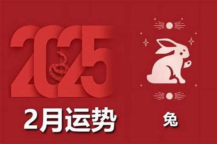 兔子在2026年的运程