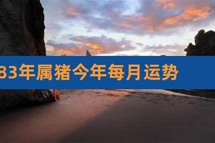 83年女主一生运程