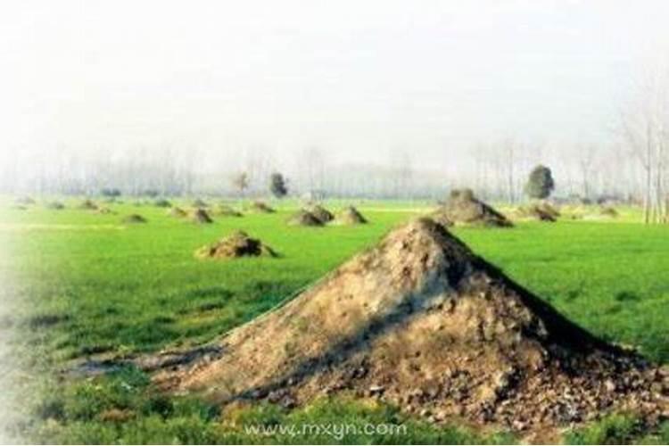 梦见坟头是什么意思？