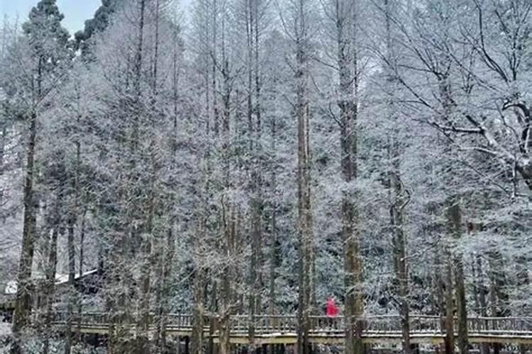 春节哪个地方下大雪？