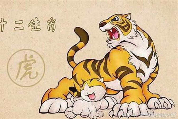 生肖虎和什么生肖最配猪女？