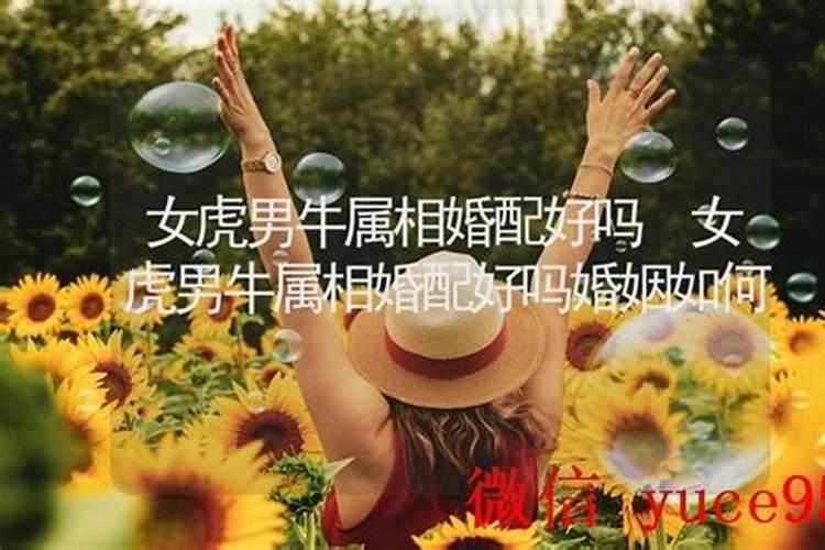 女虎男牛属相婚配财运好吗？