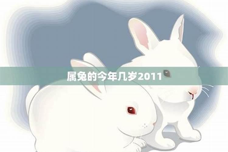 43岁属兔的今年的运程