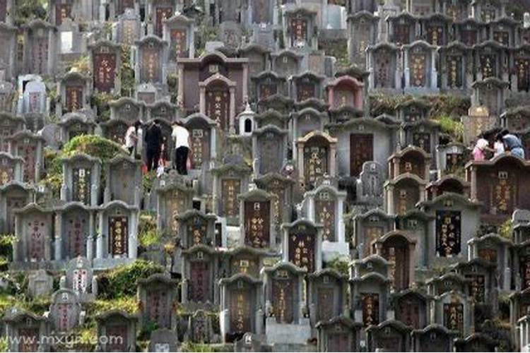 梦见墓地和鬼是什么预兆？