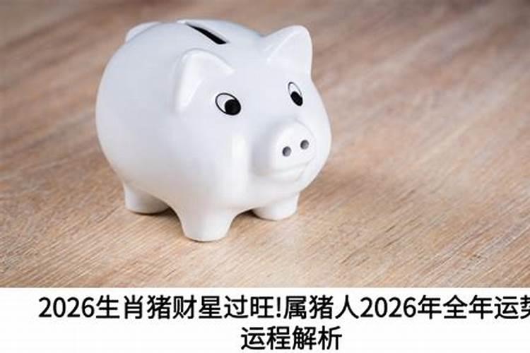 2026年运程生肖猪