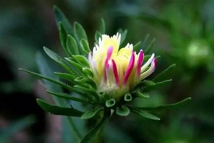 超度亡灵自己有功德吗？